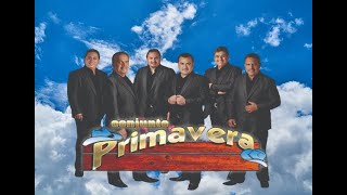 Conjunto Primavera  Puros Exitos de Oro I Norteñasmusicamexicana musicabanda músicanorteña [upl. by Manara]