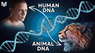 What If We Spliced Animal DNA with Humans [upl. by Ainaled]