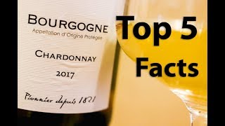 Chardonnay Wine 101  A Beginners Guide [upl. by Memory]