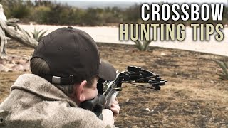 First Time Crossbow Hunting Tips [upl. by Lakim]