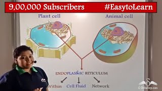 Endoplasmic Reticulum and Ribosomes  Cells  Class 9  CBSE  NCERT  ICSE [upl. by Sirret]