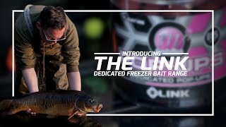 Mainline Baits Carp Fishing TV  Introducing The Link [upl. by Salohci63]