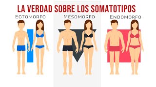 ¿Que Tipo De Cuerpo TengoSOMATOTIPO  ECTOMORFO MESOMORFO ENDOMORFO TEST [upl. by Ardnek]