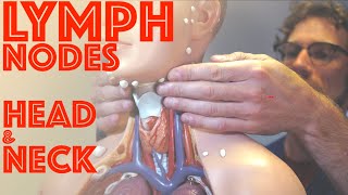 Clinical Examination of Head and Neck Lymph Nodes  Clinical Skills  Dr Gill [upl. by Azaleah]