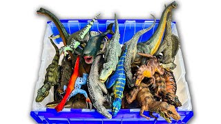 NEW Jurassic World Dinosaur Model Figures Collection TREX Brachiosaurus Tarbosaurus Dinos [upl. by Nosned]