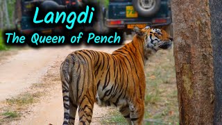 Langdi  The Queen of Pench [upl. by Bodrogi]