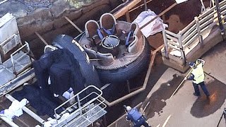 Dreamworld deaths and other Australian theme park accidents [upl. by Benyamin]