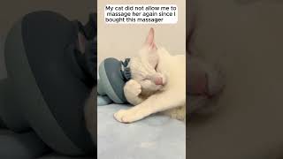 Funniest Cat Massage  Cats satisfying behavior [upl. by Litha]