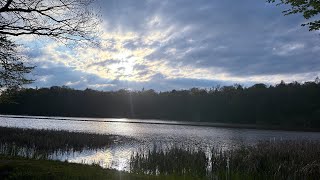 Naturzauber in 4K Ein Sommertag bei den drei Teichen im Hungener Stadtwald [upl. by Animsaj]