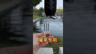 Special for slaughter 85 caliber high power special nail viralvideo youtubeshorts [upl. by Merritt]