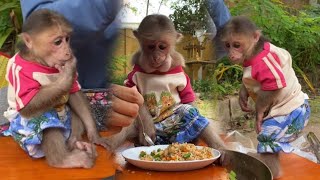 Today the mother of a little monkey cooked rice with carrots to little monkey eating [upl. by Anhoj870]