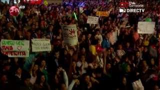 Romeo santos en viña del mar 2013 hd [upl. by Neenwahs522]