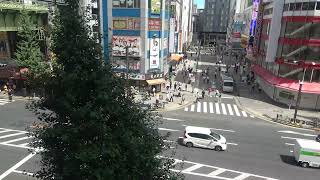 オノデンch【秋葉原ライブカメラ Akihabara live camera】 [upl. by Oinotnaesoj]