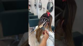 Retoque de mechas balayage a mano alzada By RICARDOLUENGOPELUKEROS [upl. by Norabal]