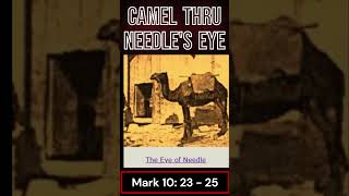 EASY QUICK WAY CAMEL THROUGH NEEDLES EYE 2 SHORTS 266 TRUTH CAMEL THROUGH NEEDLES EYE [upl. by Aisiram]