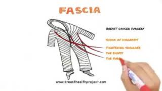 Wat is bindweefsel fascia [upl. by Admama]