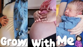 Plus Size Pregnancy Belly Progression  Week By Week [upl. by Jud]