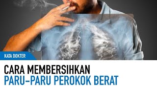 Cara Alami Membersihkan ParuParu Yang Kotor  Kata Dokter [upl. by Neo818]