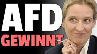 💥AfD GEWINNT VOR GERICHT💥 [upl. by Cassilda]