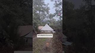 Regen im Waldcamp auswandern überwintern camping vanlife outdoor umzug zuhause inkharmony [upl. by Wasserman]