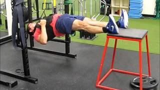 Decline Inverted Rows [upl. by Bartley]