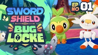 IT IS FINALLY HERE Pokemon Sword and Shield BugLocke  Episode 1 [upl. by Lehcor665]