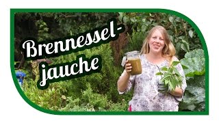 Brennesseljauche herstellen ansetzen🌱 Unser Spezialrezept 🌱 Brennnesseljauche Bester Dünger [upl. by Adiaz433]