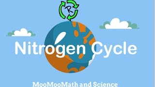 Describe Nitrogen CycleNitrogen cycle in simple terms [upl. by Llednor815]