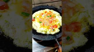 अंडे का टेस्टी शानदार आमलेटदेखते ही बनाने का मन करेगाSimple and Easy Masalafood Omelette Recipe [upl. by Yael708]