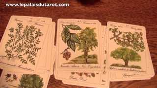 Tarot des Fleurs Femme Actuelle [upl. by Cissie424]