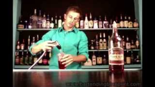 DIVE BARTENDING Sloe Gin Fizz Drink Recipe [upl. by Ivonne]