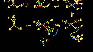 Acidcatalyzed ester hydrolysis  Organic chemistry  Khan Academy [upl. by Jaquenetta]