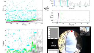 GNSS Multipath Mitigation with a Particle Filter [upl. by Kama768]