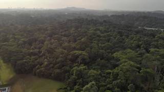 Bukit Brown MRT Station and the surrounding forest [upl. by Gault]