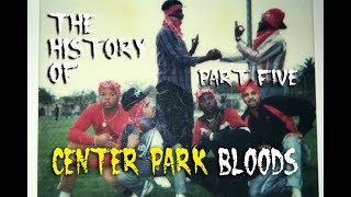 Center Park Bloods of Inglewood California Part 5 [upl. by Atirac255]