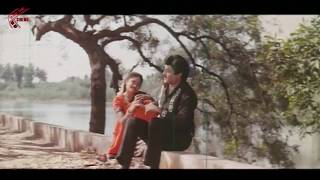 Pellantune Vedekkinde Video Song  Nari Nari Naduma Murari Movie  Balakrishna Shobana Nirosha [upl. by Josy]