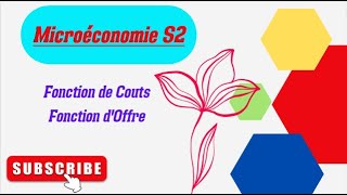 Microéconomie S2 Partie 4Fonction du Cout et Fonction dOffre [upl. by Hemetaf]