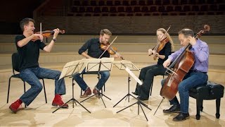 HAYDN String Quartet in G minor Op 20 no 3 1 Allegro con spirito by St Lawrence String Quartet [upl. by Aufa]