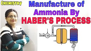 Manufacture of Ammonia Habers ProcessAmmonia Class10 ICSE Chem Semester2 Boards Offline [upl. by Ahsielat]