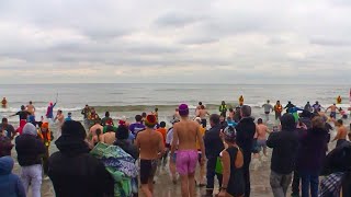 Hundreds take the plunge in Oakville for 39th annual Courage Polar Bear Dip [upl. by Siraved]