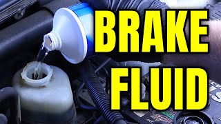 Brake Fluids Explained Types Compatibility amp Lifespan [upl. by Atat]