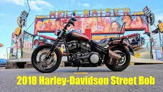 HarleyDavidson Street Bob – LongTerm Ride Review [upl. by Grimona]