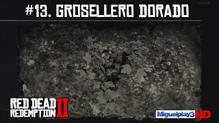 Localización Grosellero Dorado Casis  13Compendio Plantas  Red dead redemption 2 [upl. by Aldos]