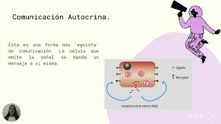 Comunicación Química no sinaptica [upl. by Ossy428]