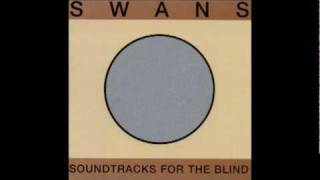 Swans  The Sound [upl. by Leler]