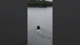 CALEDONIAN MACBRAYNE CROSSING RIVER CLYDE [upl. by Jeth]