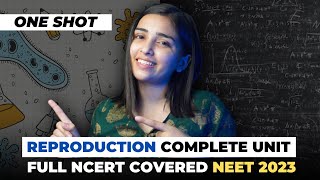 Complete Reproduction Unit Class12 NCERT in One Shot for NEET 2023 [upl. by Erdreid]