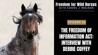 20 The Freedom of Information Act Interview with Debbie Coffey [upl. by Aieka]