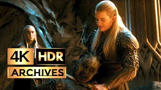 The Hobbit  The Desolation of Smaug  Orc Captured by Elves Scene  HDR  4K  51 [upl. by Earej508]