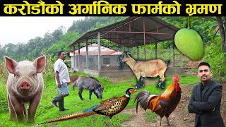 करोडौंको अर्गानिक फार्मको भ्रमणमा जे देखियो जस्ताको तस्तै  Organic farming  Farm Stay  Livstock [upl. by Nixie373]